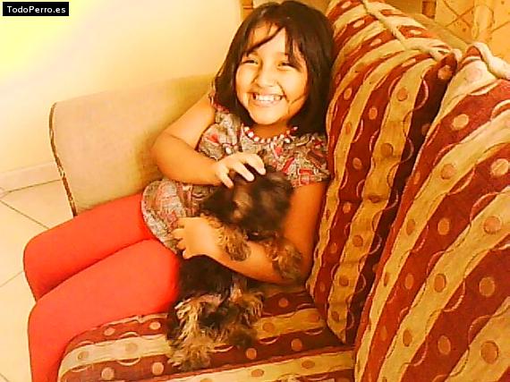 Foto del perro Dady