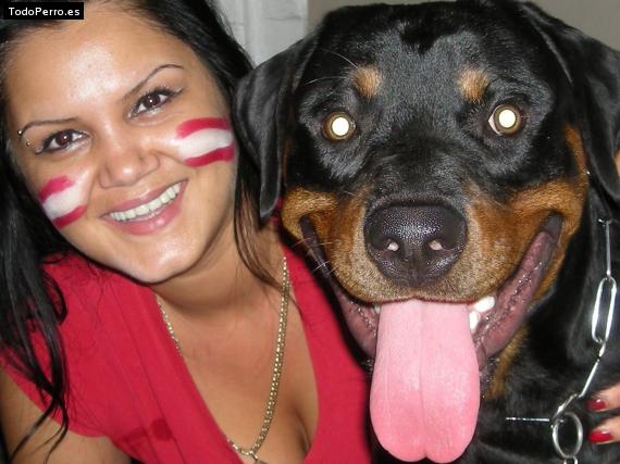 La foto del perro