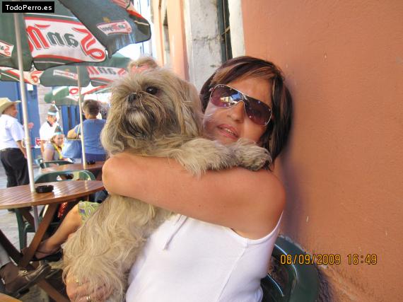La foto del perro