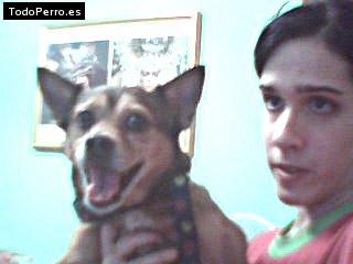 Foto del perro Ramby