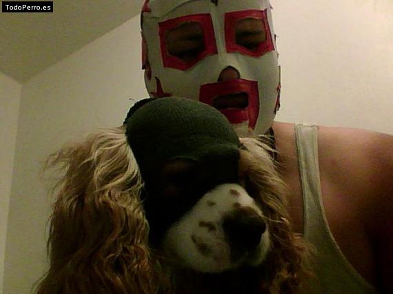 La foto del perro