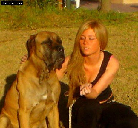 Foto del perro Martin