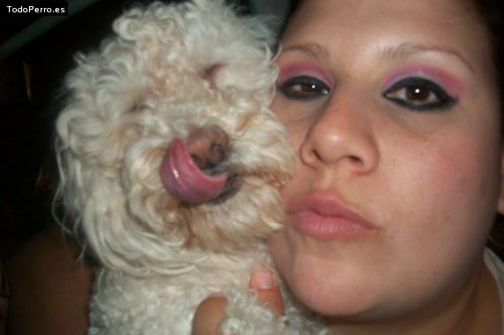 La foto del perro