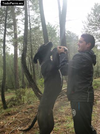 La foto del perro
