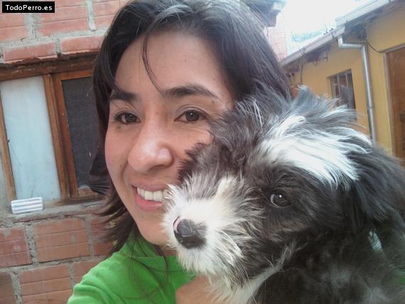 La foto del perro