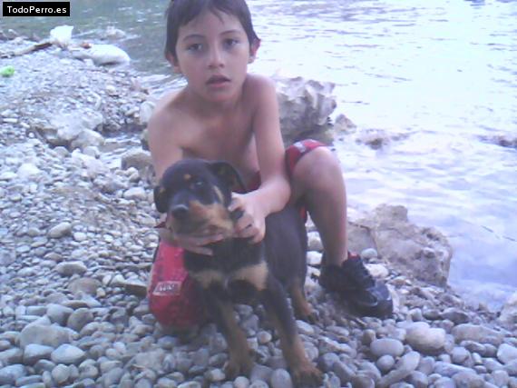 La foto del perro