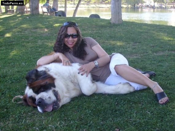 La foto del perro