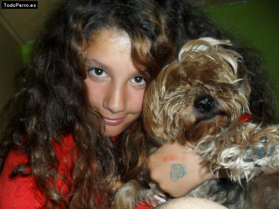 La foto del perro