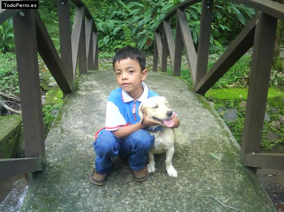 La foto del perro Esnupi Foto del perro Esnupi