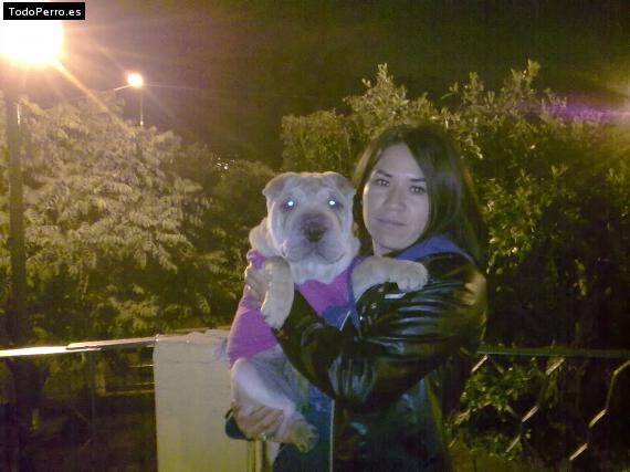 La foto del perro
