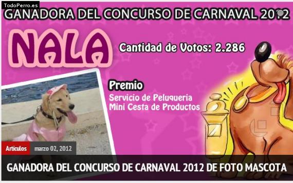 La foto del perro