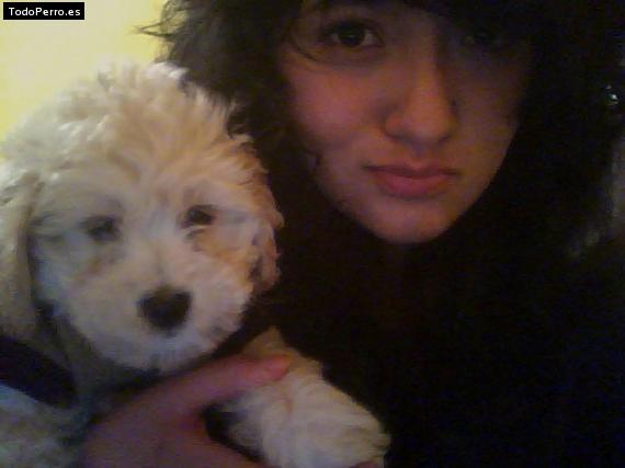 Foto del perro Julia