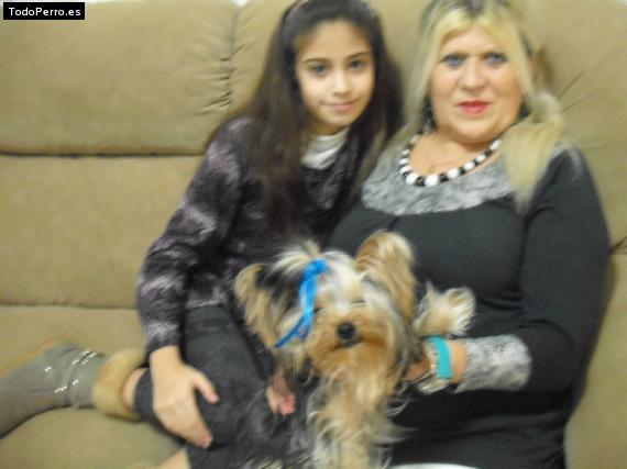 La foto del perro