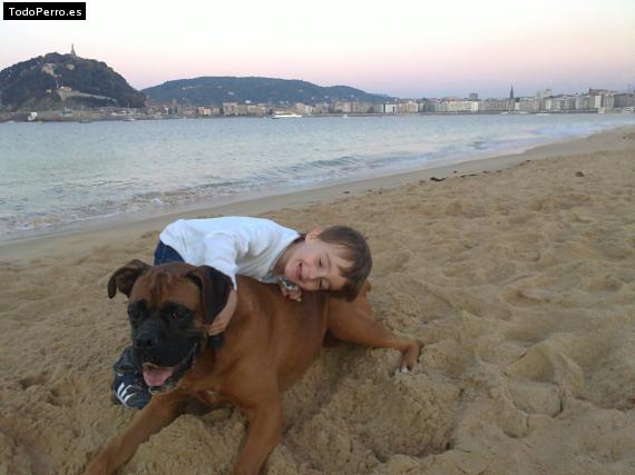 La foto del perro