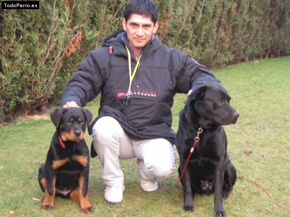 La foto del perro