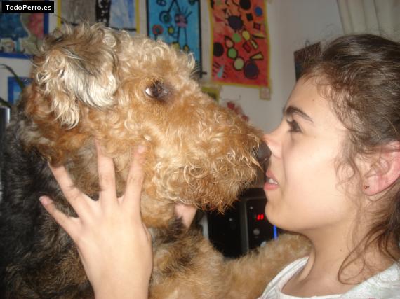 La foto del perro
