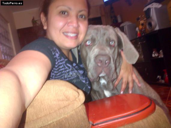 La foto del perro