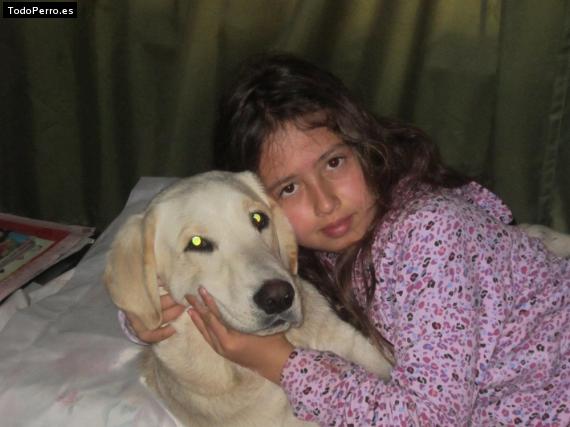 Foto del perro Casper