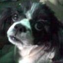 Odie