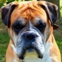 Rusty
