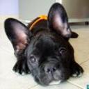 Stich