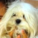 Rulo