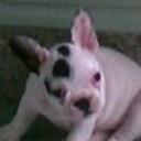 Xila