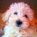 Candy  bastida
