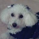 Candy  bastida