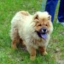 Winnie