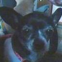Chispa 