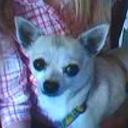 Chiqui