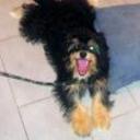 Chiqui