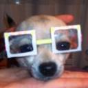 Chiqui