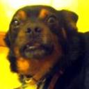 Beethoven