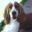 Rocky