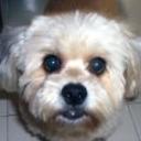 Samy