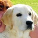 Icono can de catatumbo