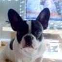 Otto