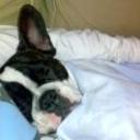 Otto