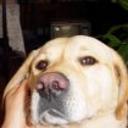 Lukas