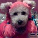 Candy  bastida