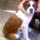 Florencia