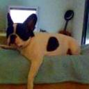 Otto
