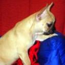 Torete