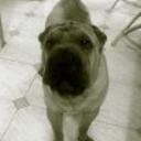 Lucas