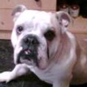 Neron