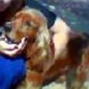 Winy