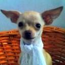 Chiquiti