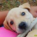 Lunna